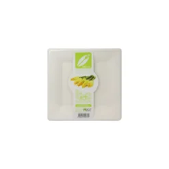 Assiette carrée bio 26 cm en bagasse - par 40