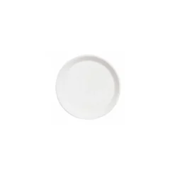 Assiette plate verre trempé régithermie ø 23 cm - par 6
