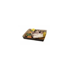 Assiette rectangle carton 17,5 x 12,5 x 3 cm - par 200