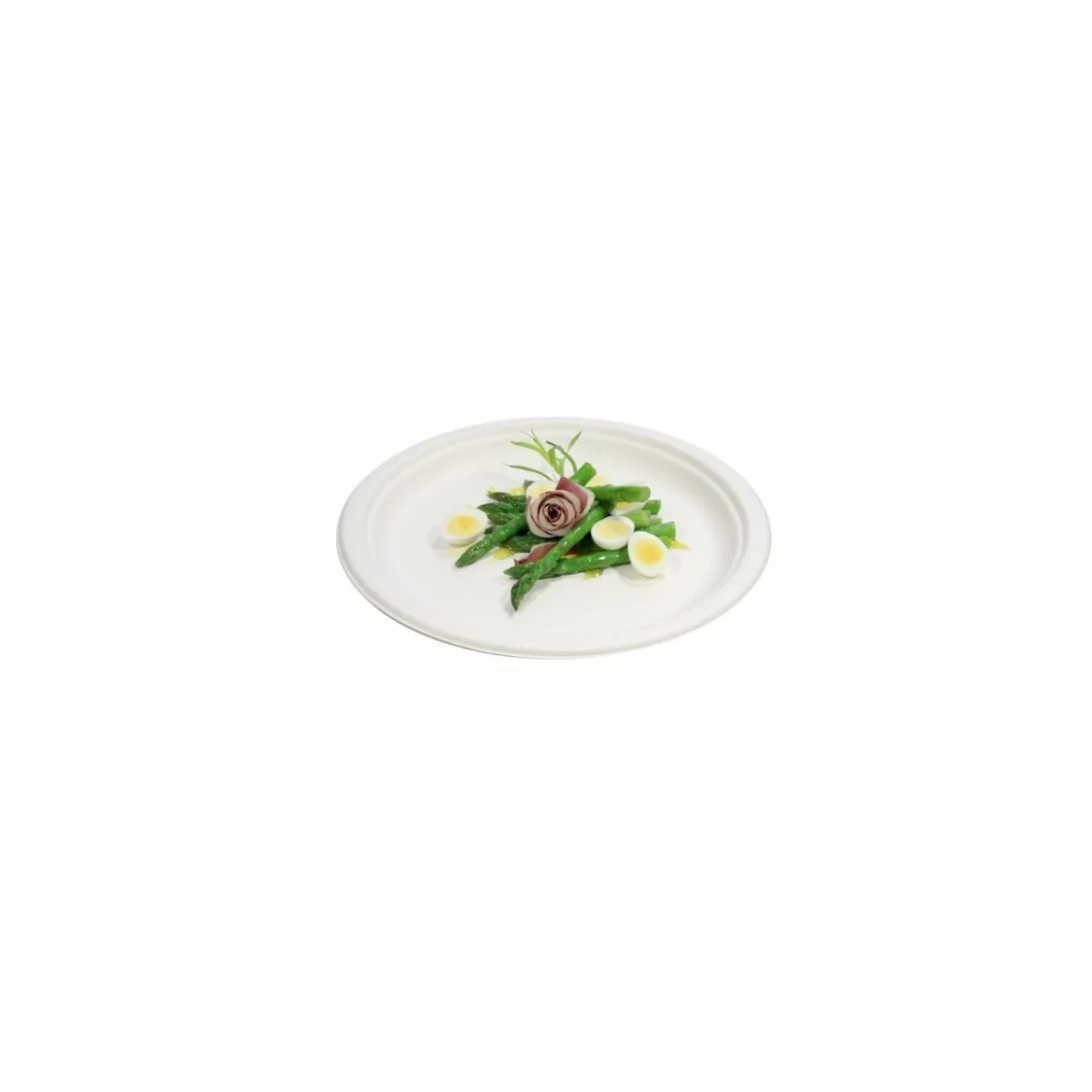 Assiette ronde bagasse ø 26 cm - par 50