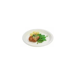 Assiette ronde bagasse ø 23 cm - par 50