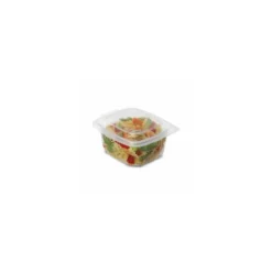Barquette plastique avec couvercle Ondipack 500 ml - par 600