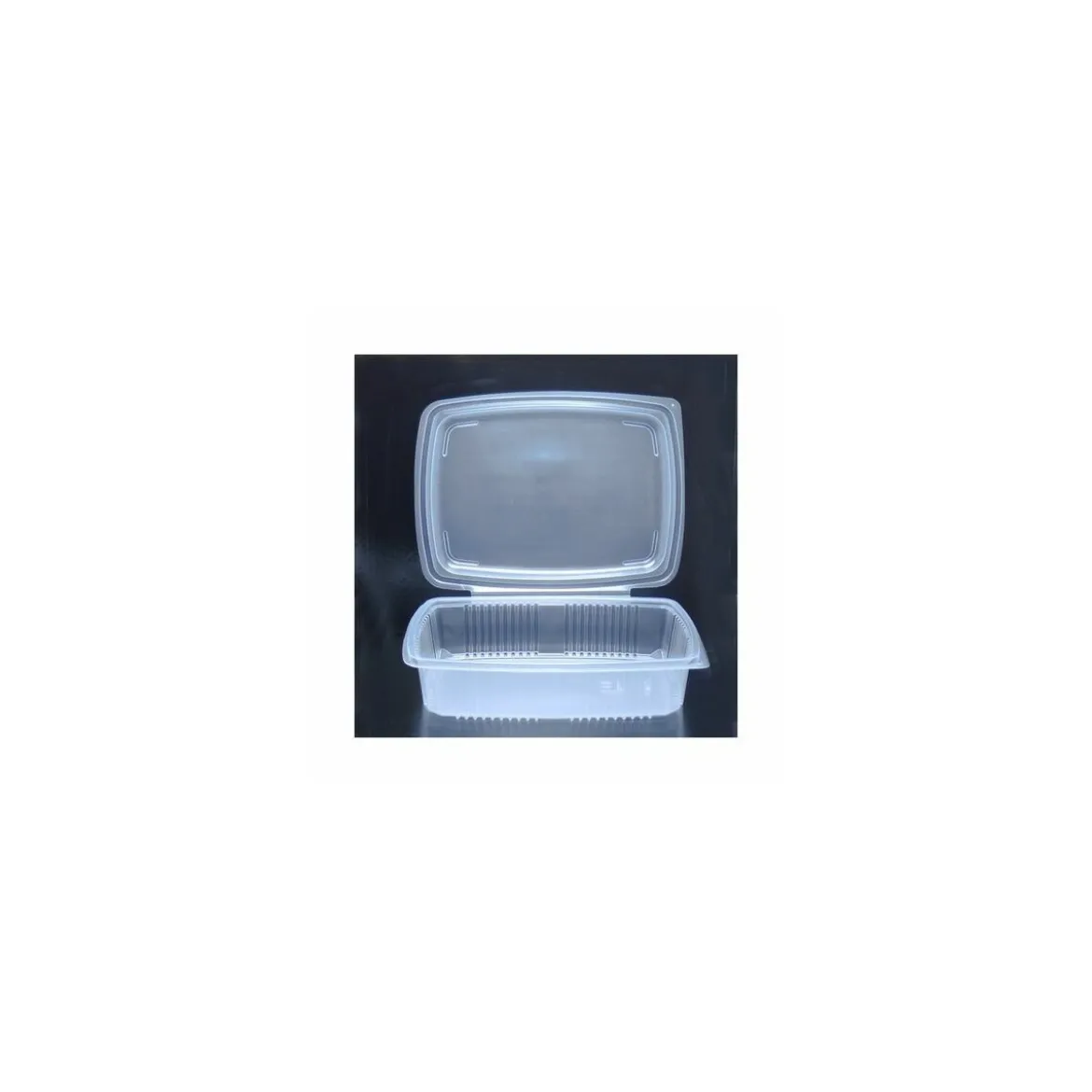 Barquette plastique pour 12 brochettes Ondipack 2500 ml - par 15