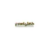 Barrette blanche garniture houx 25 cm - par 12
