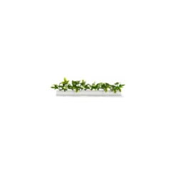 Barrette blanche lierre vert 25 cm - par 12