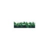 Barrette noire persil 25 cm - par 12