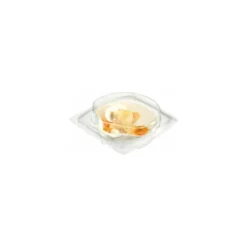 Boite Cristal Patipack 1 coquille PET - par 300