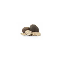 Brisures de truffes noires Tuber brumale - par 200 g