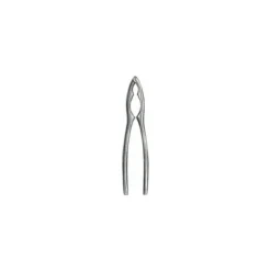 Casse noix et pattes inox 16 x 4,1 x 1 cm