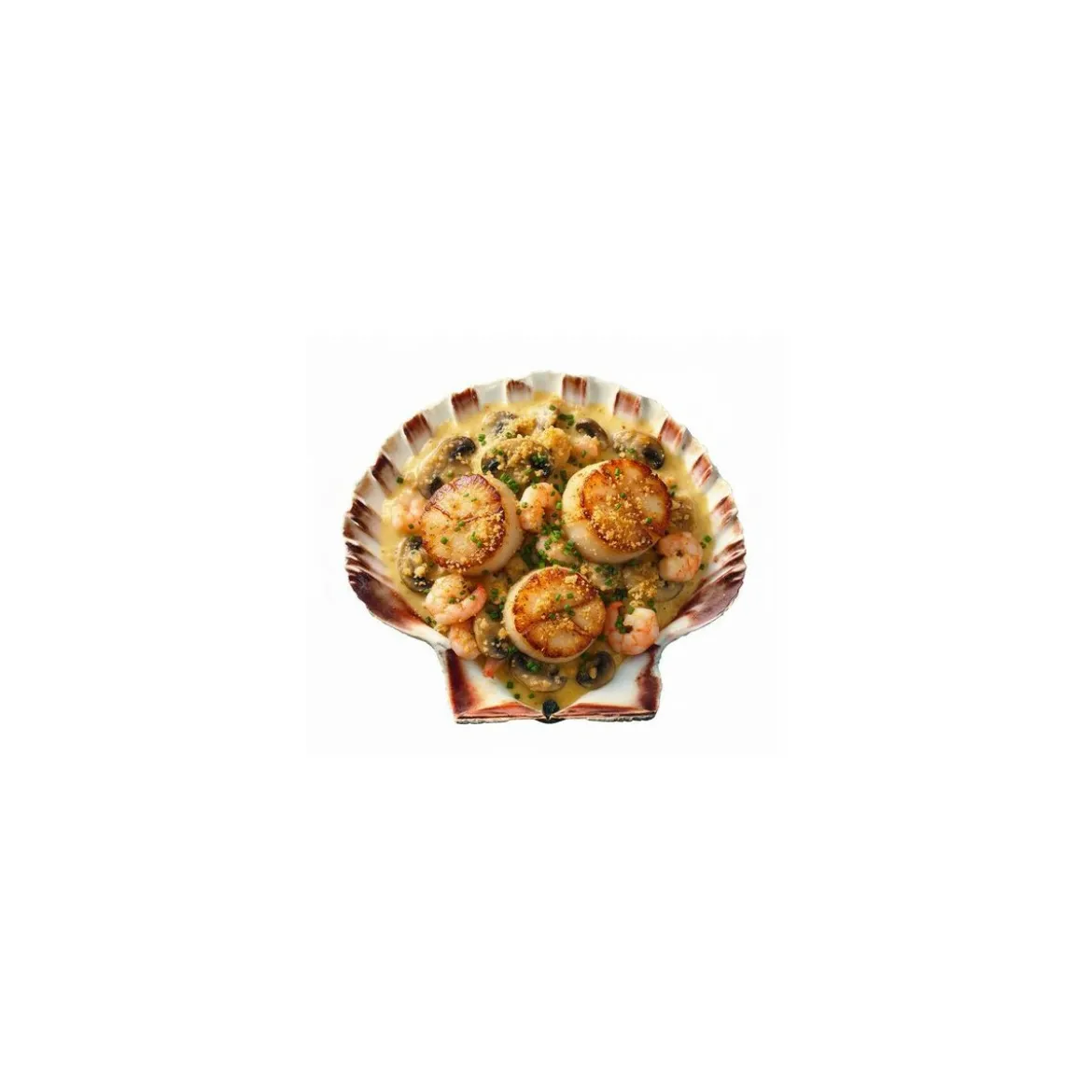 Coquille Saint Jacques naturelle 12+ cm - par 250