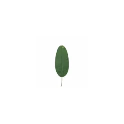 Feuille de bananier 60 cm