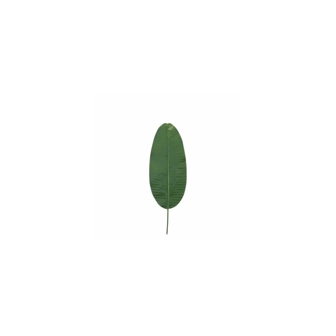 Feuille de bananier 60 cm