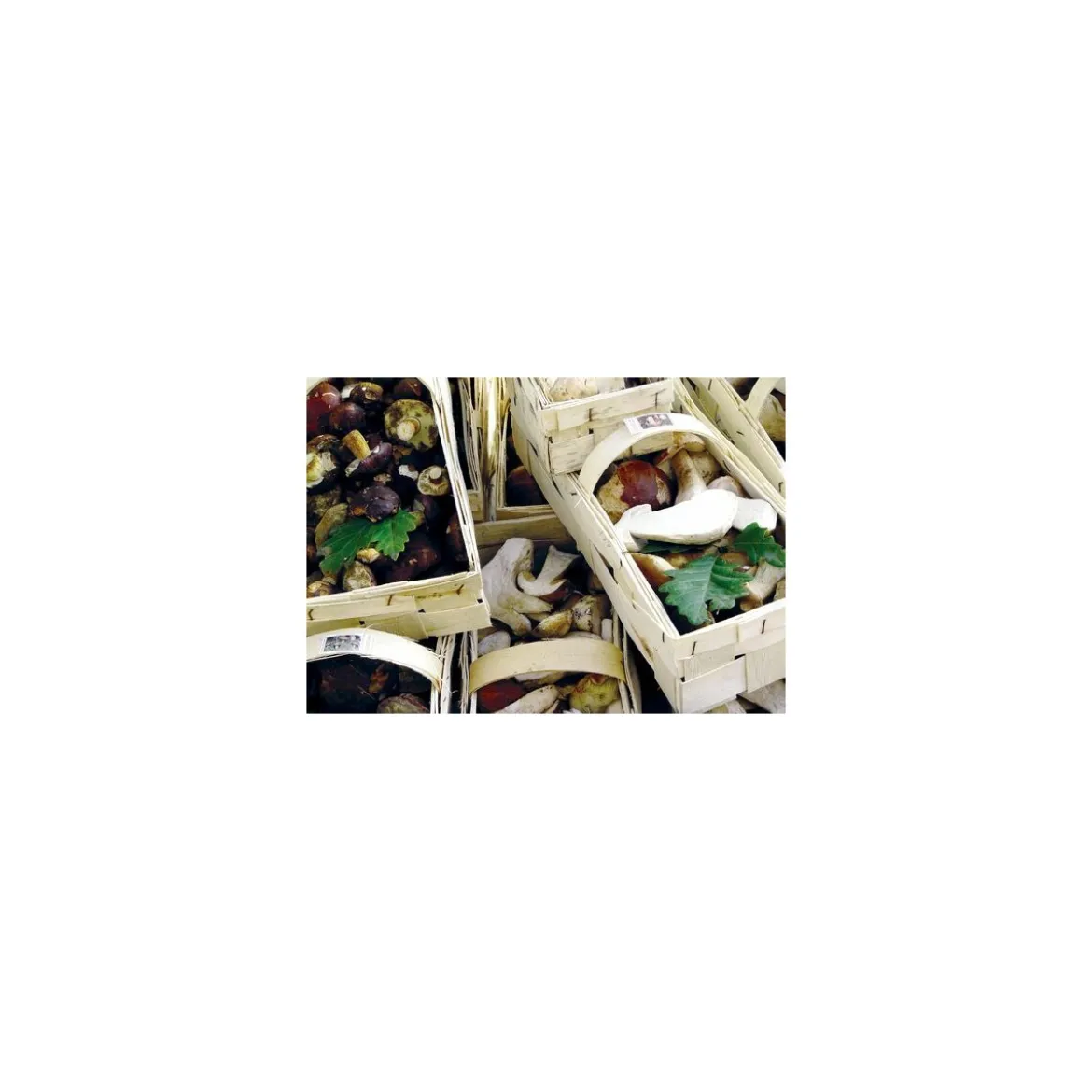 Garniture forestière - par 1 kg