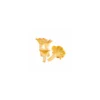 Girolles entières - par 500 g