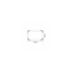 Grand plateau traiteur en carton double face argent / or 42 x 28 cm - par 25