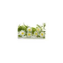 Guirlande marguerite blanche 270 cm