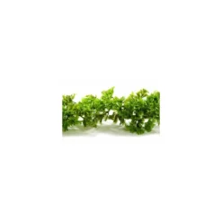 Guirlande persil frisé 270 cm