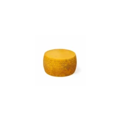 Meule parmesan factice ø 44 x 21 cm
