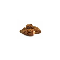 Morilles spéciales - par 500 g