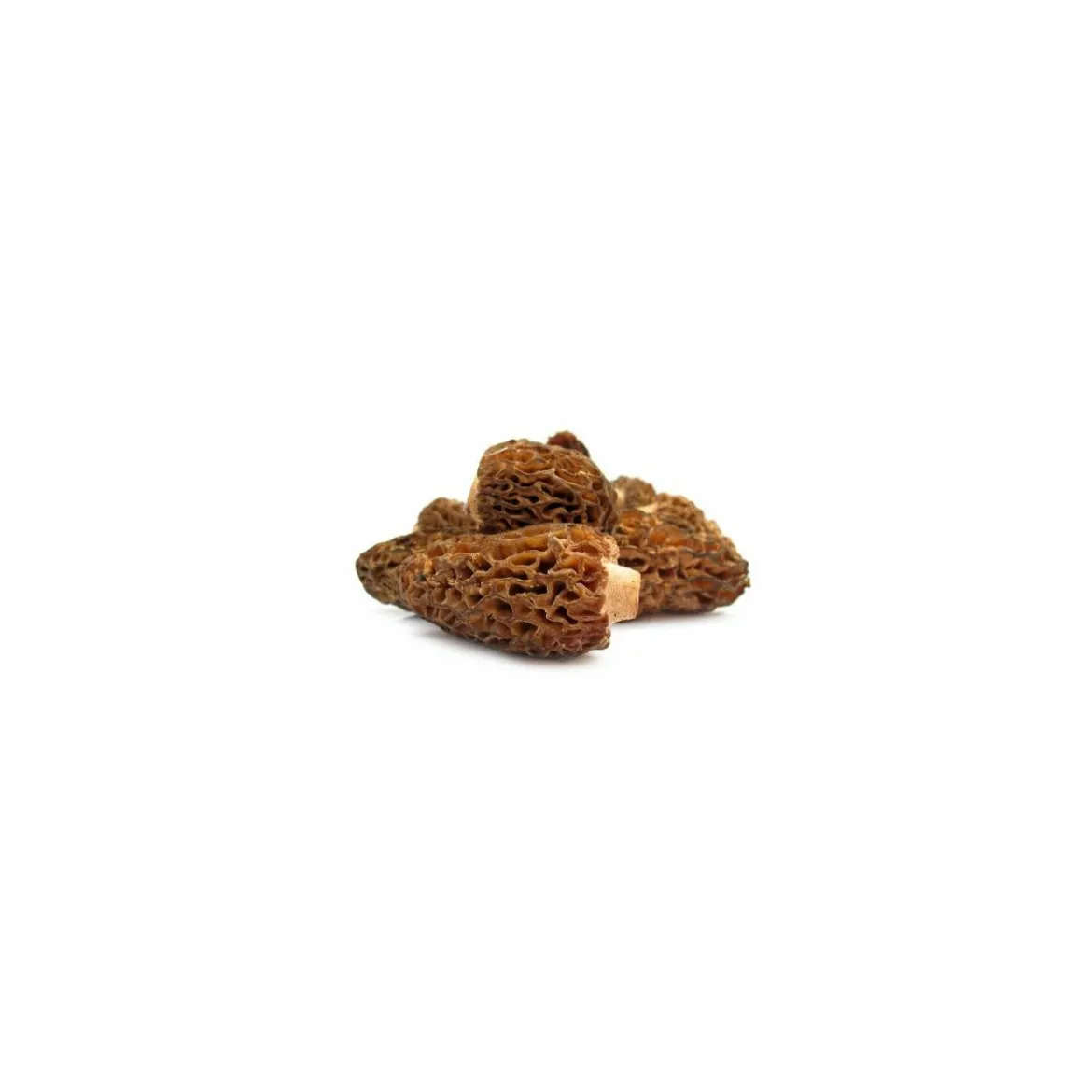 Morille traiteur - par 500 g
