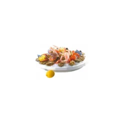 Plateau fruits de mer ovale 70 x 40 cm - par 25