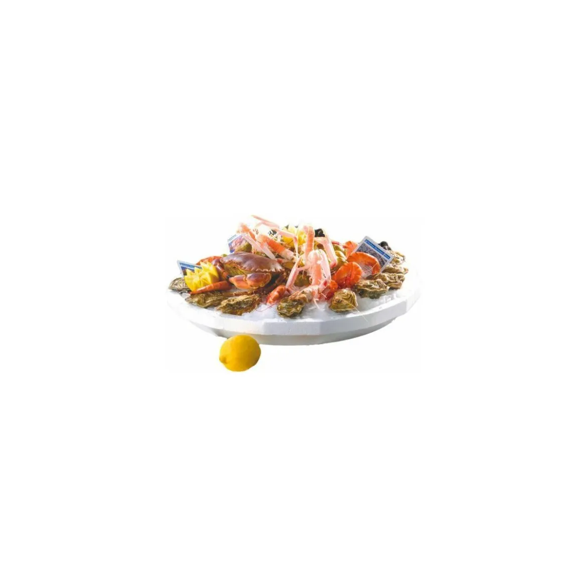 Plateau fruits de mer ovale 70 x 40 cm - par 25