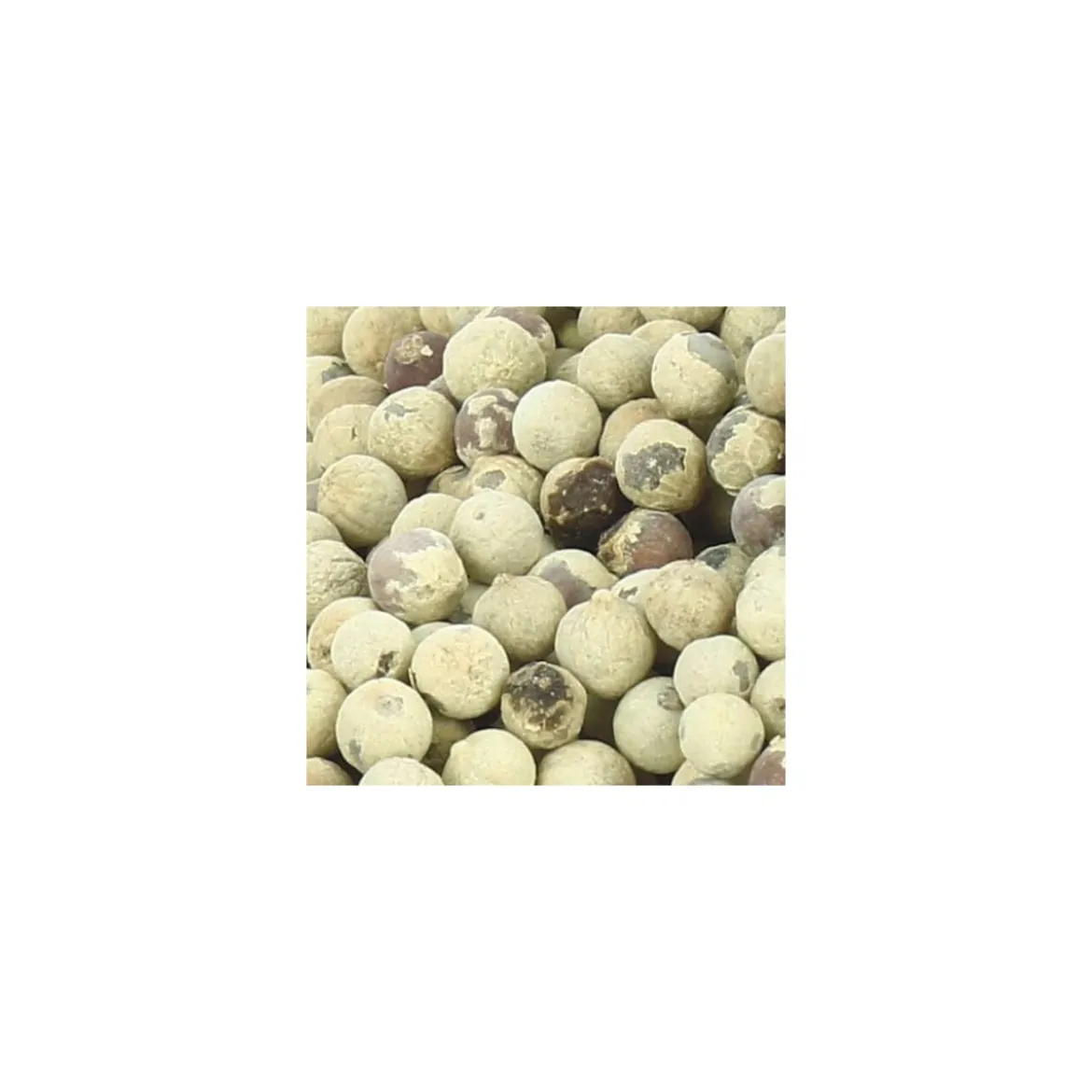 Poivre blanc entier - par 5 kg