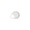 Rond dentelles ⌀ 11,5 cm - par 250