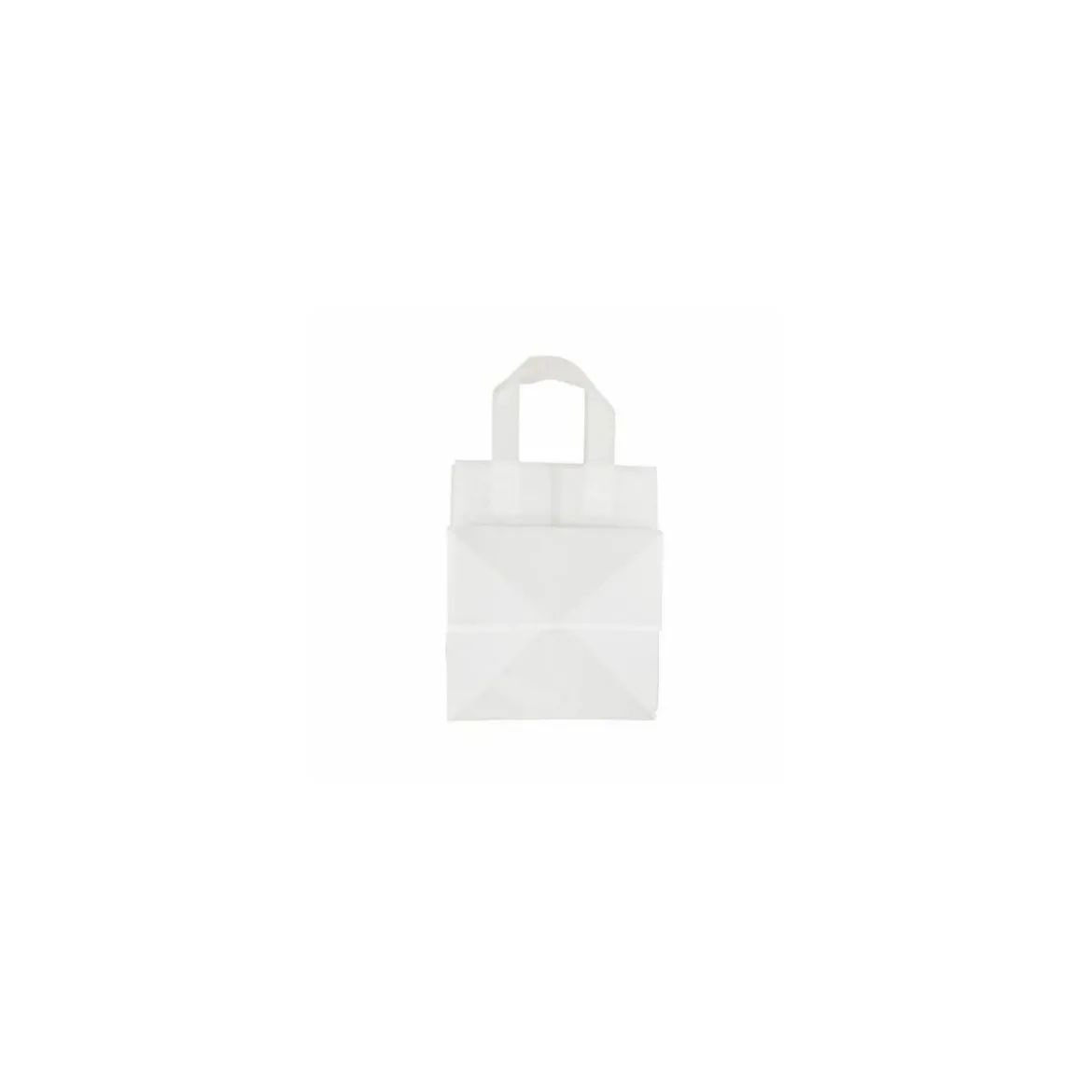 Sac cabas traiteur plastique avec renfort de fond 22 x 21 x 28 cm - par 25
