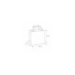 Sac cabas traiteur plastique avec renfort de fond 22 x 21 x 28 cm - par 25