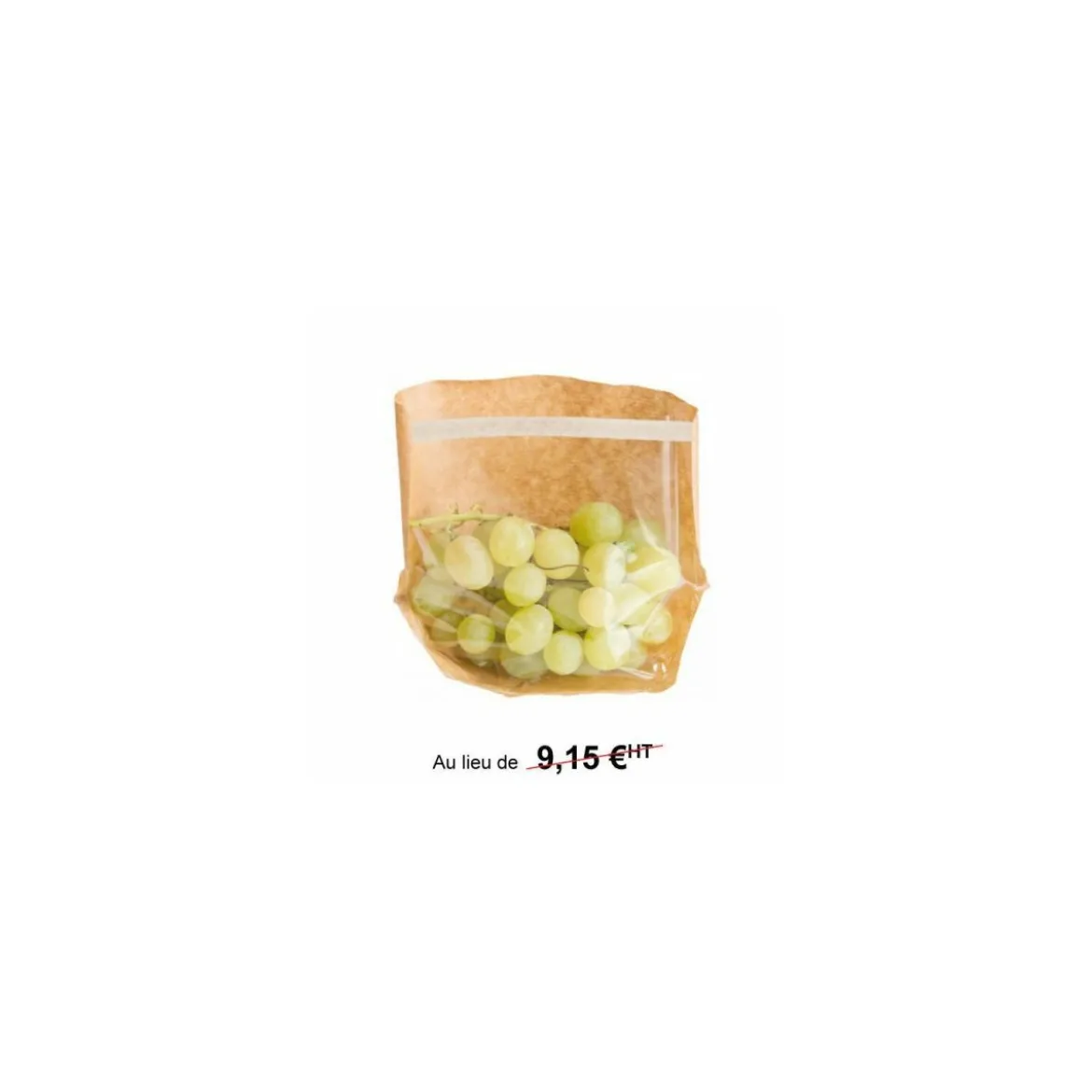 Sachet kraft fermeture auto-adhésive TURTLE PACK 20 x 15 x 4 cm - par 100