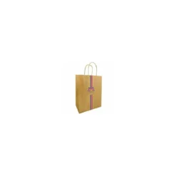 Sac kraft bleu blanc rouge 21 x 19 + 8 cm - par 50