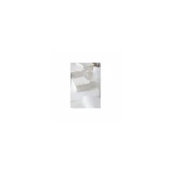 Serviette ouate blanche 30 x 30 cm 2 feuilles - par 200