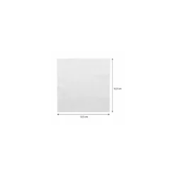 Serviette ouate blanche 25 x 25 cm - par 100