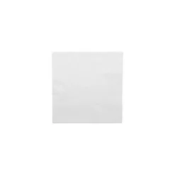 Serviette ouate blanche 25 x 25 cm - par 100