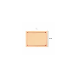 Set de table papier ivoire 31 x 43 cm - par 500